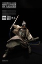 UNDERVERSE TOMORROW KINGS TK RANGER NIIRO UJITADA 1/6 SCALE ACTION FIGURE