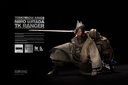 UNDERVERSE TOMORROW KINGS TK RANGER NIIRO UJITADA 1/6 SCALE ACTION FIGURE