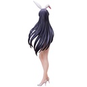 B-style CODE GEASS Rozé of the Recapture Sakura Haruyanaginomiya Bunny Ver.