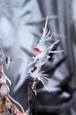 Arknights Skadi The Corrupting Heart The Pilgrim ver. 1/7 Complete Figure