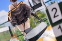 Azur Lane - Baltimore Black Ace Ver.