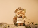 Softopia Echo Forest Whispers Soft Vinyl Plush Blind Box