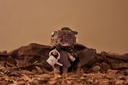 Softopia Echo Forest Whispers Soft Vinyl Plush Blind Box