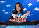 Sonic The Hedgehog - Sonic Title Screen