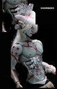 RINGDOLL "SCIENCE FANTASY" SERIES FRANKENSTEIN 76CM BALL-JOINT DOLL (BJD)