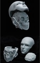 RINGDOLL "SCIENCE FANTASY" SERIES FRANKENSTEIN 76CM BALL-JOINT DOLL (BJD)