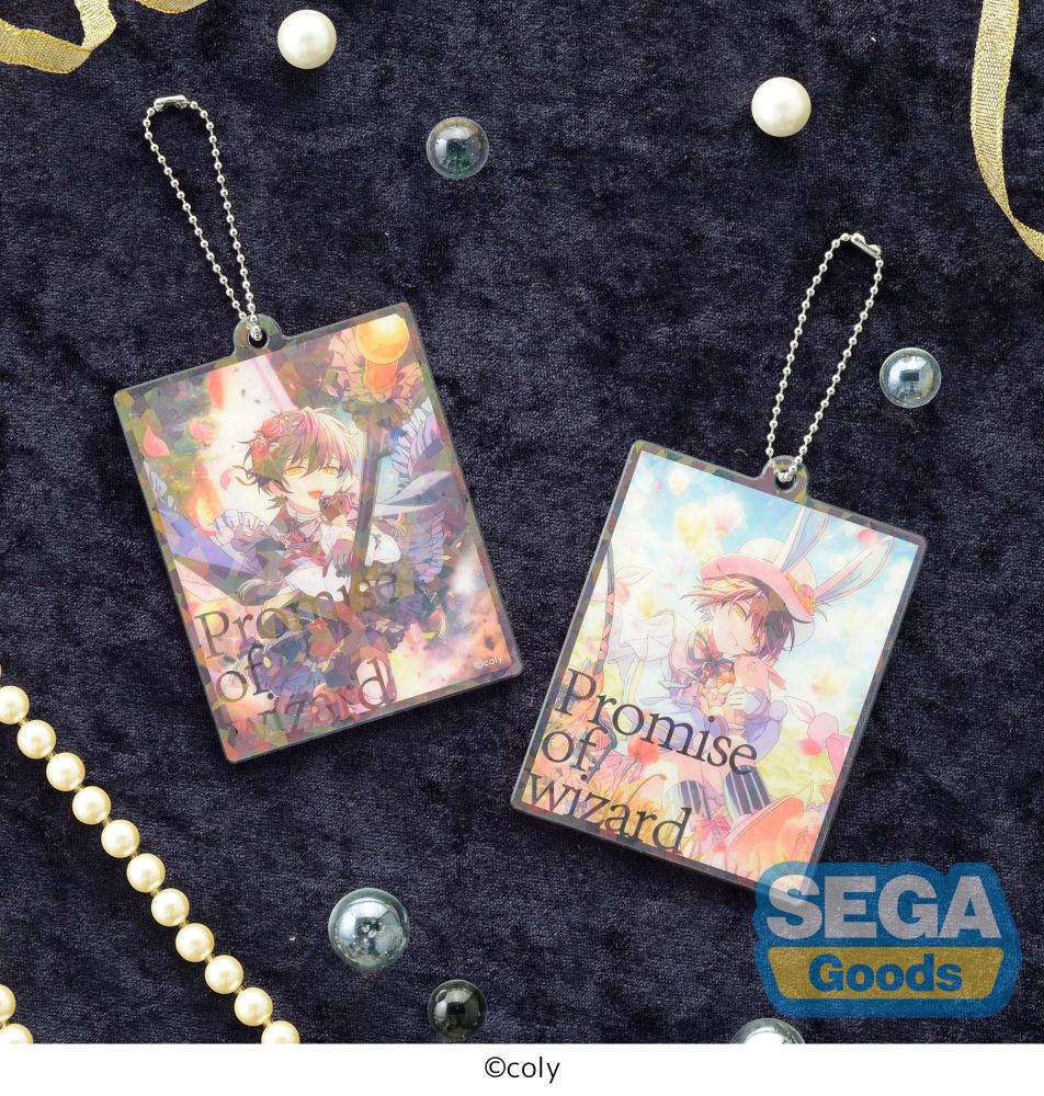 Promise of wizard Acrylic Keychain Vol.2 (EX)