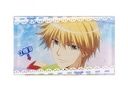 Maid-Sama! Scene Fridge Magnets