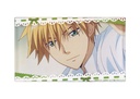 Maid-Sama! Scene Fridge Magnets