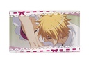 Maid-Sama! Scene Fridge Magnets