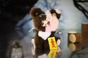 LOKIKITOYS LOKIKI FAKE PARADISE SERIES TRADING PLUSH