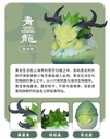 MOYU TOGETHER WITH LOONG SERIES TRADING FIGURE