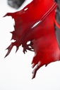 Goddess of Victory: Nikke Scarlet: Black Shadow