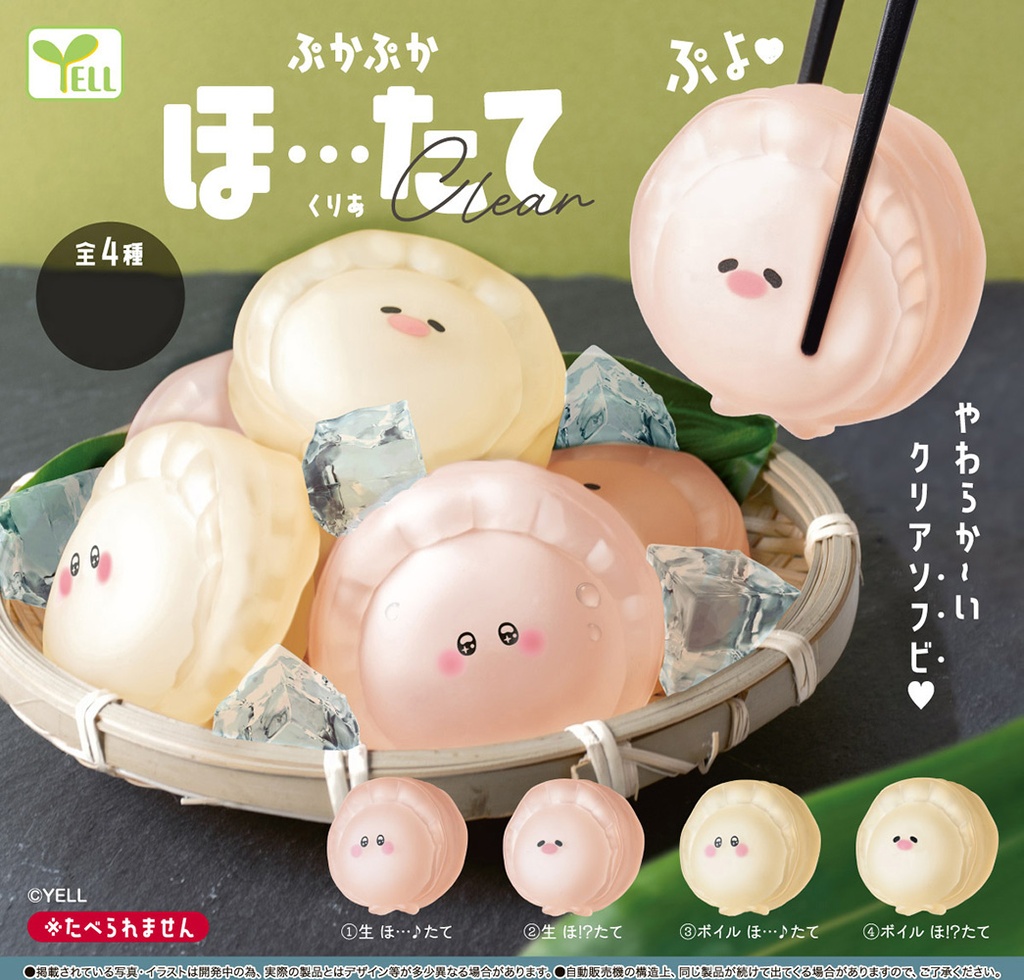 Pukapuka Scallop Clear