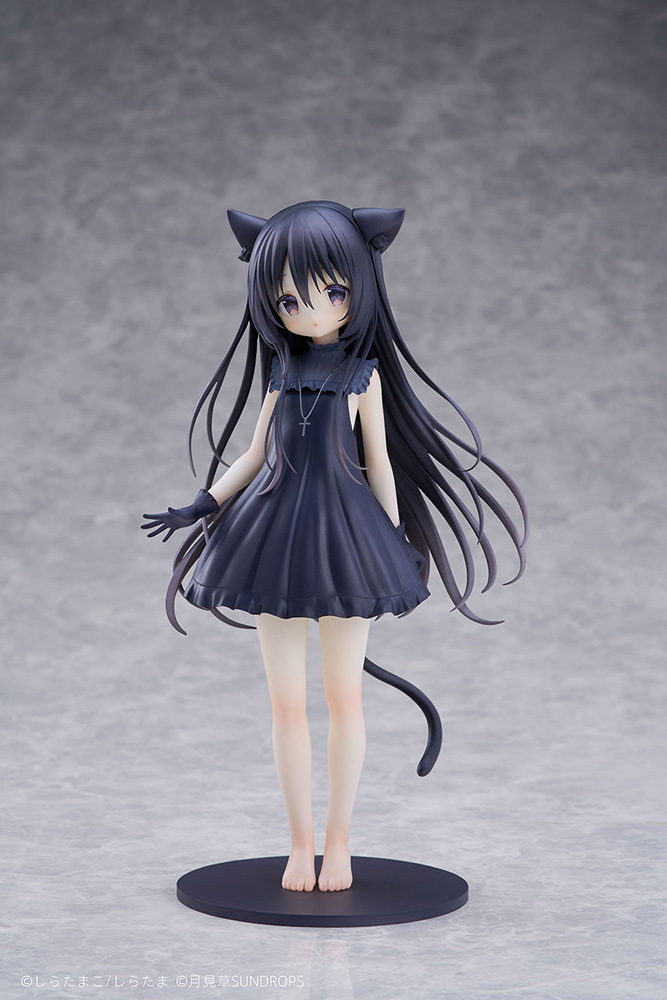 Hoshizora Tetsudou to Shiro no Tabi noir