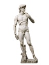 figma David