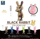 BLACK RABBiT 9