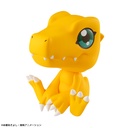 Lookup Digimon Adventure Agumon