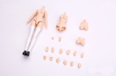 EASTERN MODEL A.T.K.GIRL MAID OUTFIT   FIGURE BODY PACK