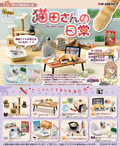 [RE50741R] Life with cats