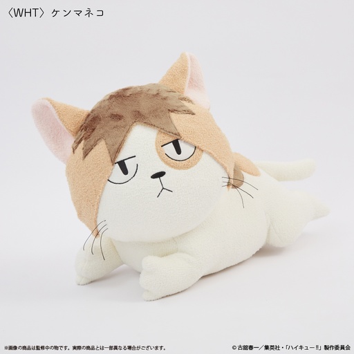 [KFY10154] Haikyu!! Cushion Kenma Cat