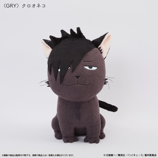 [KFY10155] Haikyu!! Cushion Kuroo Cat