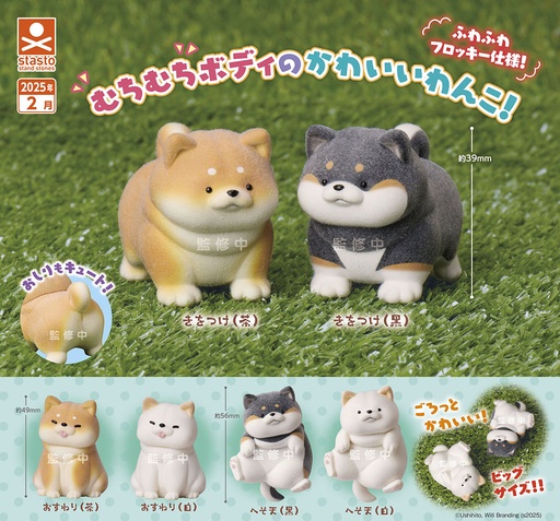 [SDS71696] Muchimuchi Wanko