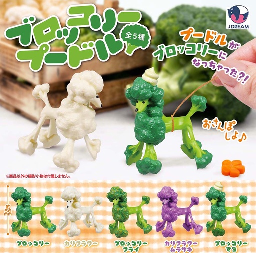 [JDR29720] Broccoli Poodle
