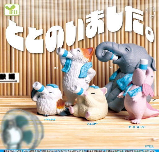 [YLE08891] Totonoimashita.