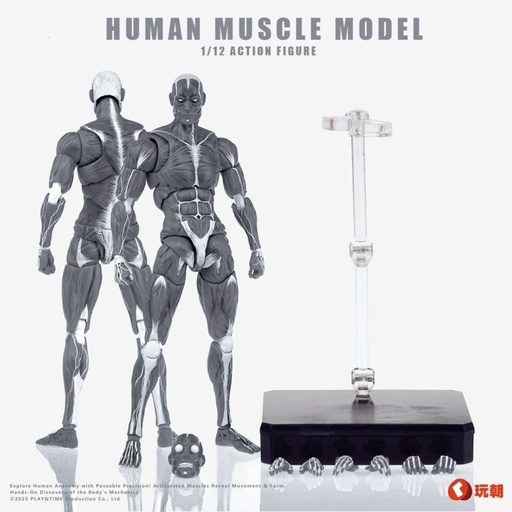 [KGS15999] KEEPGOING STUDIO HUMAN MUSCLE MODEL 1/12 SCALE ACTION FIGURE GRAY