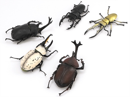 [FT60616] Beetle & Stag beetle Hunter