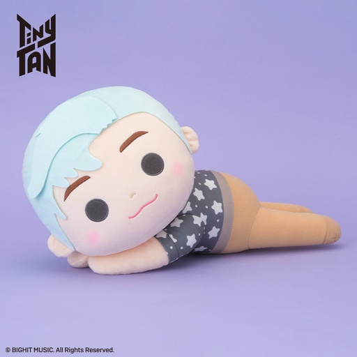 [SG96528] RT Y103475 TINYTAN DREAMY MEJ DOLL DY RM