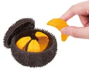 Sea Urchin PUZZLE