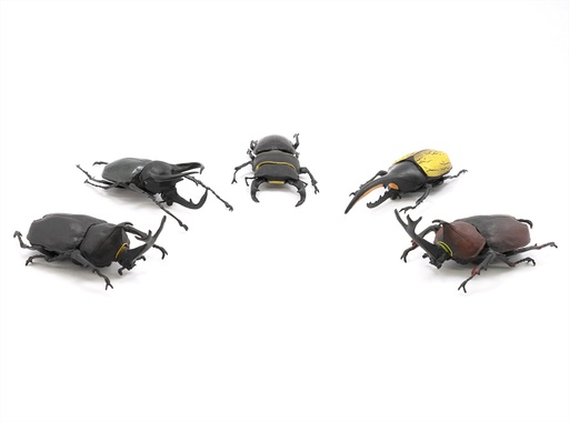 [FT60629] Beetle & Stag beetle Hunter